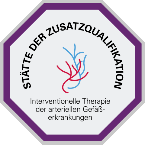 Zusatzqualifikation Interventionelle Therapie der arteriellen Gefäßerkrankungen für die Teilbereiche Interventionelle Therapie der peripheren Arterien und Beckenarterien und Interventionelle Therapie der Viszeral- und Nierenarterien